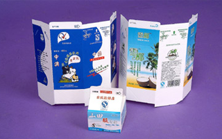 南京川田乳品有限的山田酸牛奶盒、澳大利亚独资安庆澳宝乳品公司 的贵宾乳饮料、海南之味食品的雪椰牌饮料